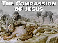 Pastor John S. Torell - sermon on THE COMPASSION OF JESUS - Resurrection Life of Jesus Church: Carmichael, CA - Sacramento County